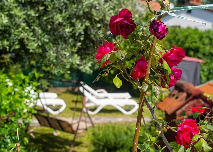 Casa vacanze House Mima