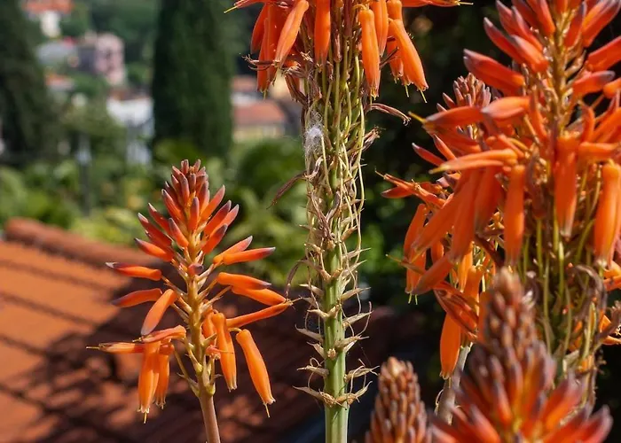 Vikendica House Mima